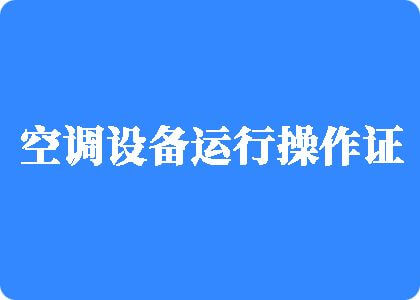 黑人男女日逼逼视频制冷工证